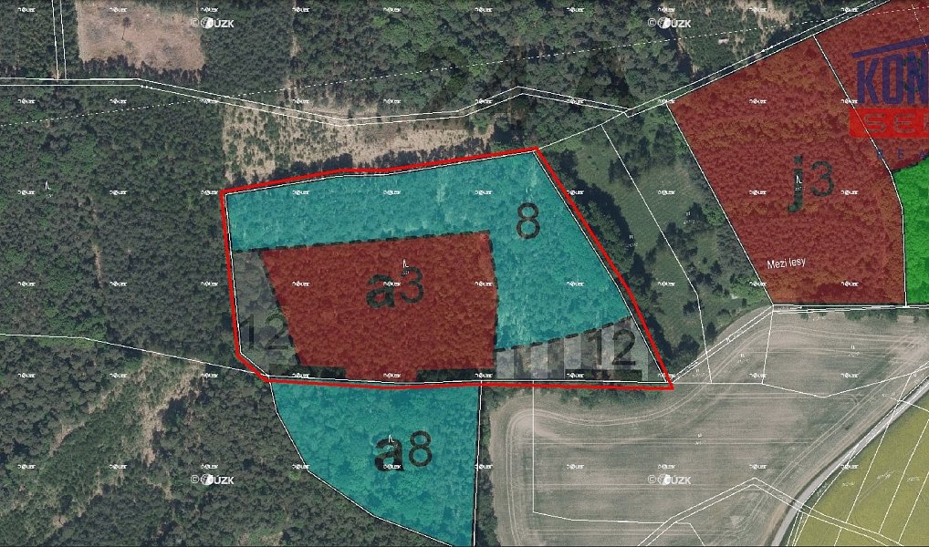 Prodej lesa 32 004 m², Bačalky – náhled fotky 6