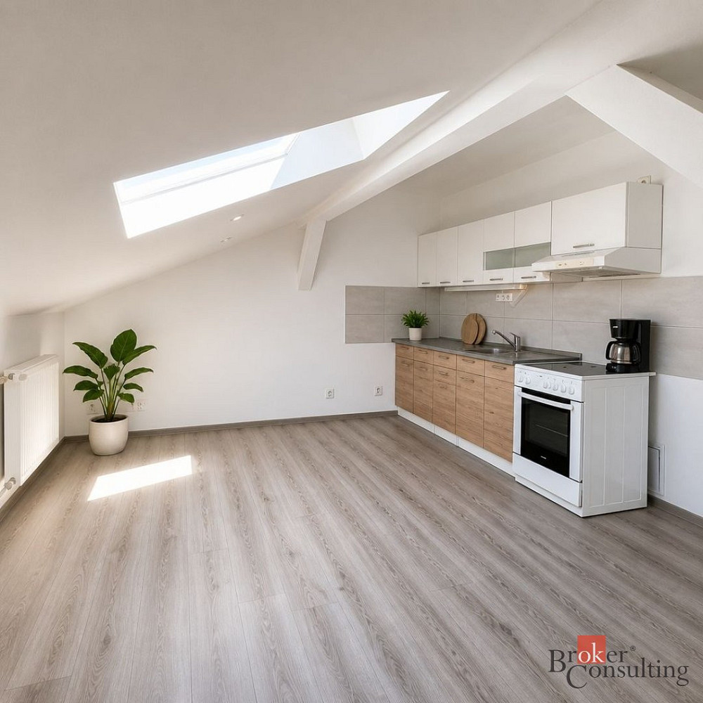 Pronájem bytu 4+kk 95 m² — photo 5