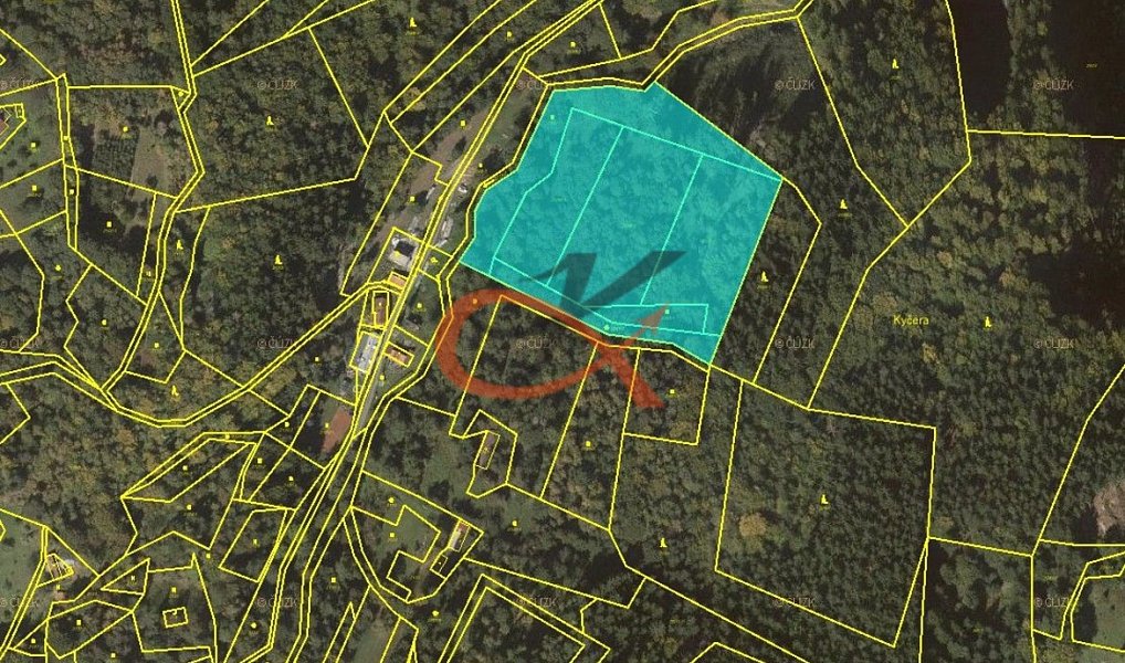 Prodej lesa 15 729 m², Dolní Bečva – náhled fotky 3