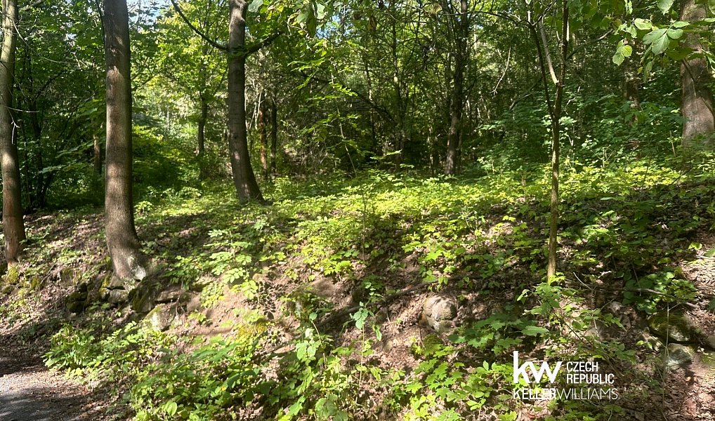 Prodej pozemku 22 760 m², Bílina – náhled fotky 4