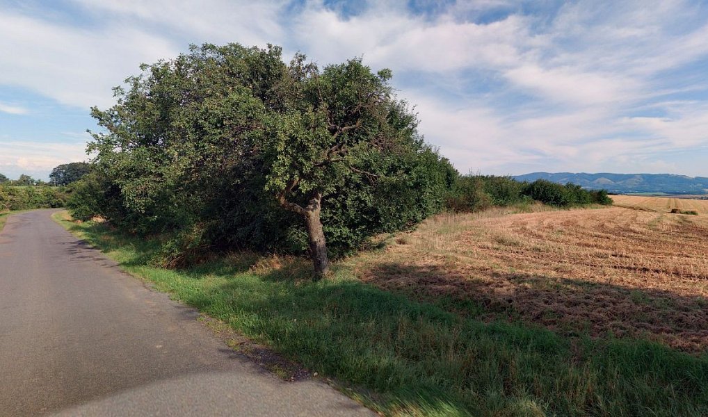 Prodej zahrady 1 655 m², Horní Nětčice – náhled fotky 2