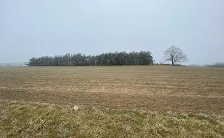 Prodej pole 13 059 m², Slatina, okres Klatovy