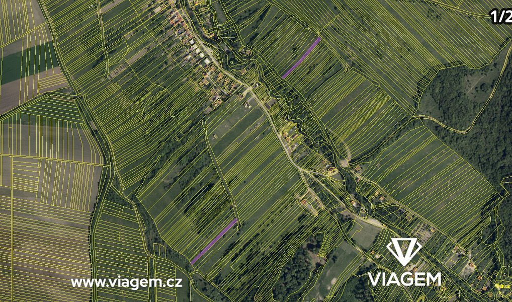 Prodej pole 2 507 m², Javorník – náhled fotky 4