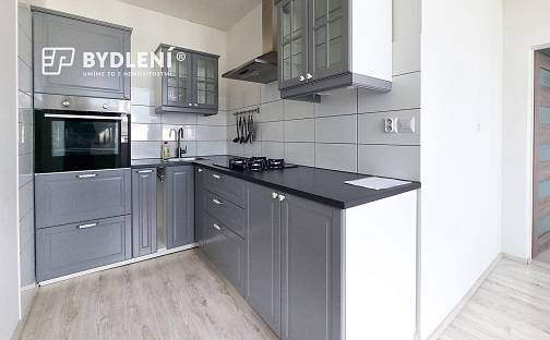 Pronájem bytu 3+1 64 m², U Věžových domů, Most