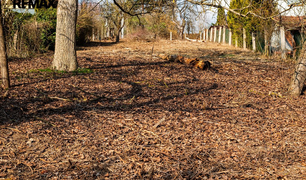 Prodej domu 123 m² s pozemkem 1 209 m², Řícmanice – náhled fotky 29
