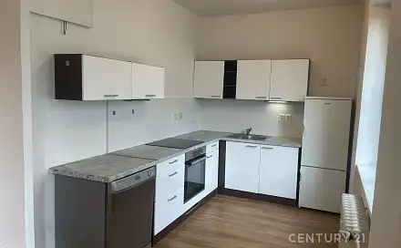 Prodej bytu 1+1 36 m², Elišky Krásnohorské, Havířov - Podlesí, okres Karviná