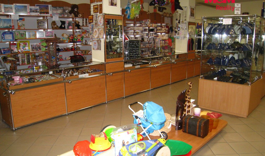 Prodej domu 900 m² s pozemkem 345 m², Frenštát pod Radhoštěm – náhled fotky 17