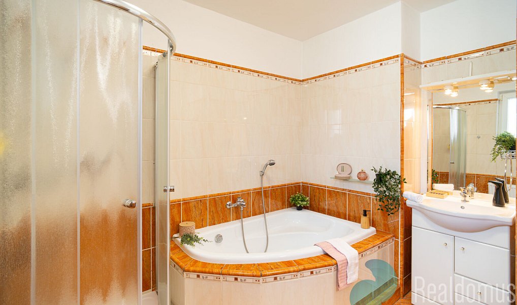 Prodej domu 245 m² s pozemkem 757 m², Litvínovice – náhled fotky 10