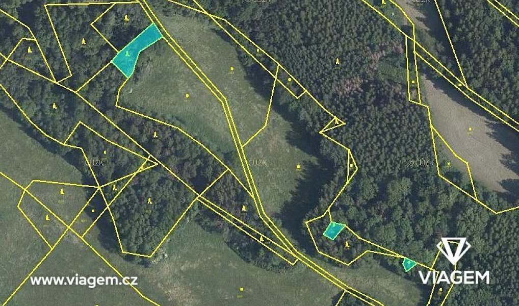 Prodej lesa 595 m², Horní Habartice – náhled fotky 2