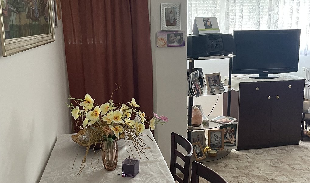 Prodej bytu 2+1 49 m², Mladá Boleslav – náhled fotky 2