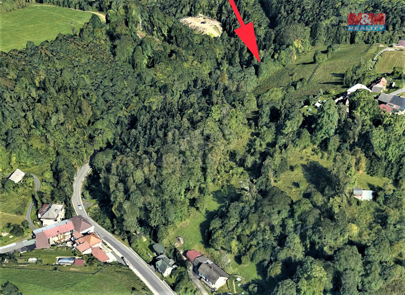 Prodej lesa 3 547 m² – fotografie 3