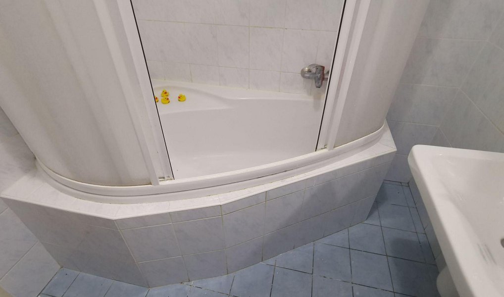 Pronájem bytu 2+kk 65 m², Tisová – náhled fotky 7