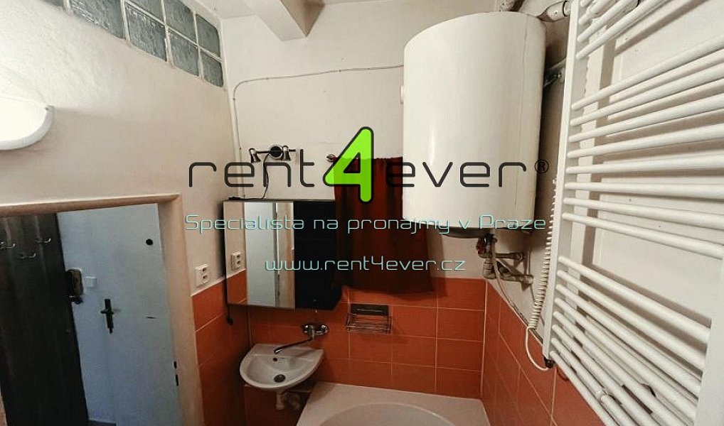 Pronájem bytu 2+1 50 m², Praha – náhled fotky 12