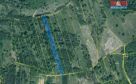 Prodej lesa 15 662 m², Jetětice, okres Písek