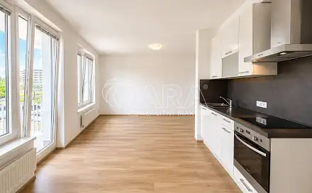 Pronájem bytu 1+kk 46 m²