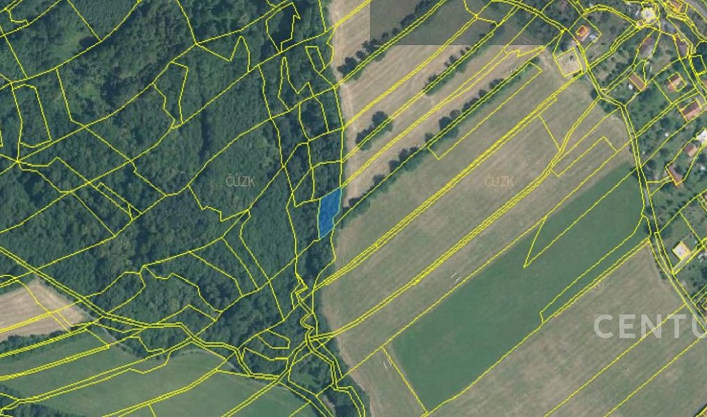 Prodej lesa 40 228 m², Nový Jičín – náhled fotky 3