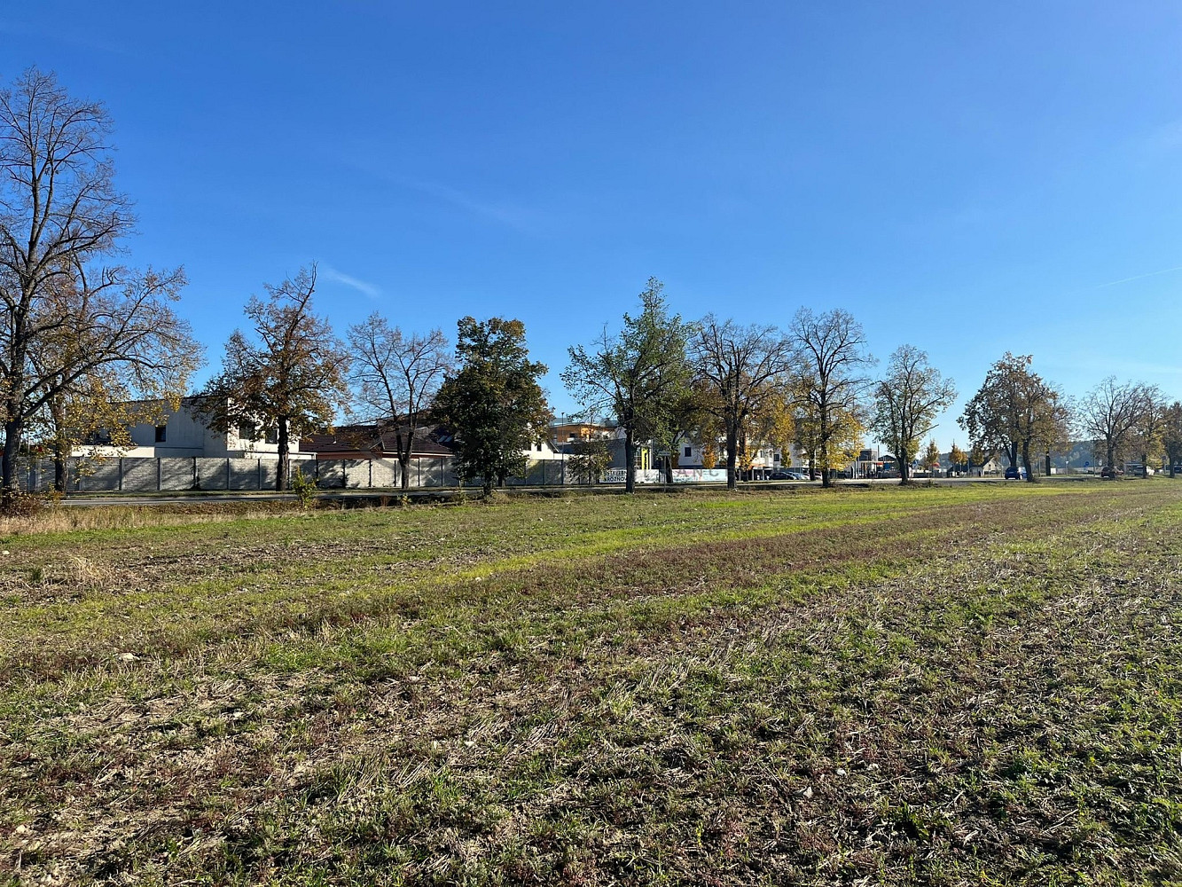 Prodej stavebního pozemku 3 531 m² – fotografie 4