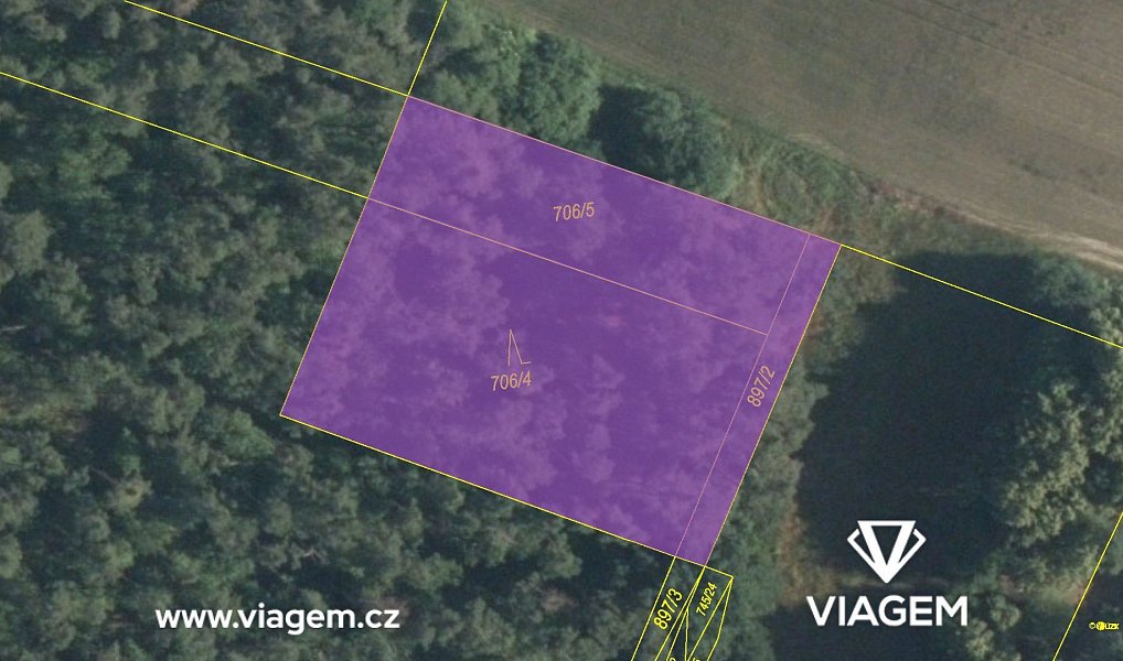 Prodej lesa 2 054 m², Sudovo Hlavno – náhled fotky 4