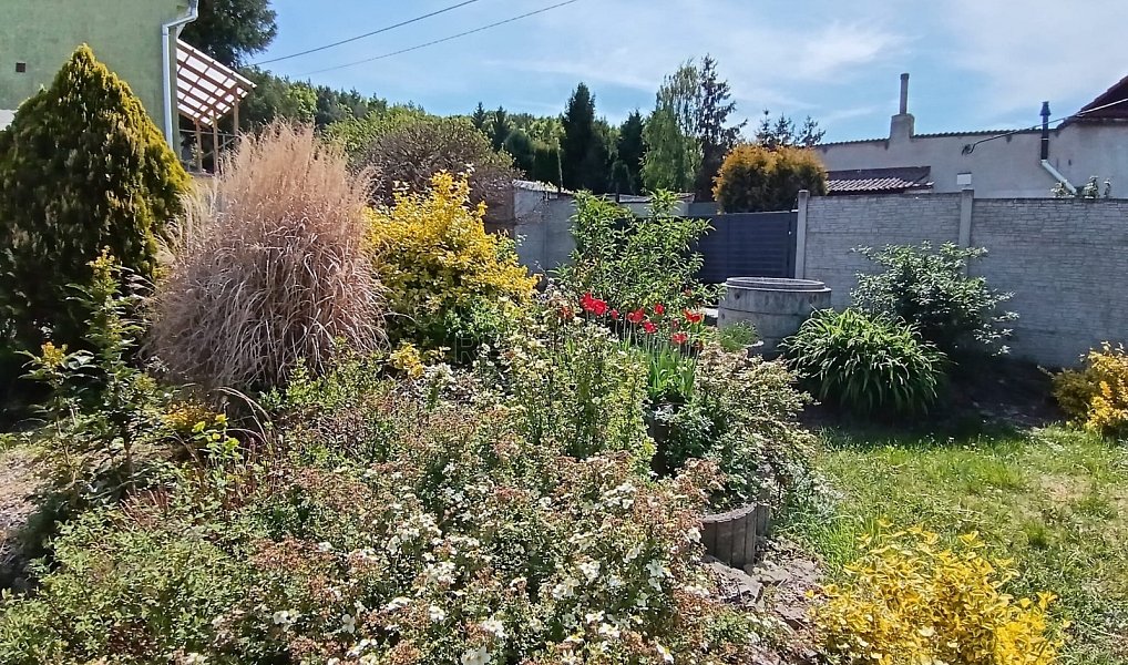Prodej domu 200 m² s pozemkem 884 m², Drahanovice – náhled fotky 3