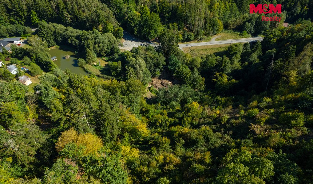 Prodej lesa 7 450 m², Lomnice – náhled fotky 3
