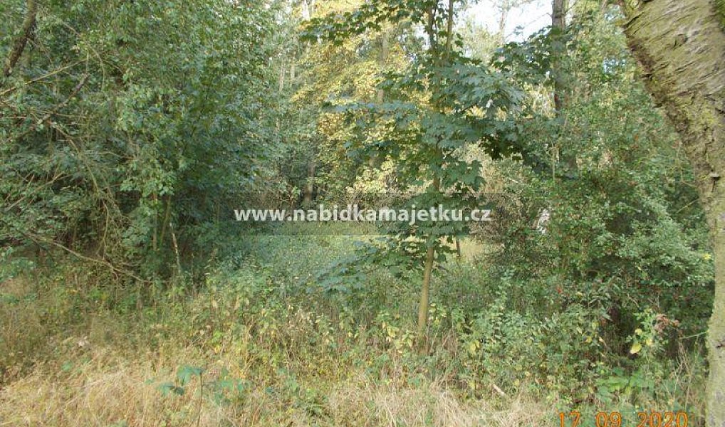 Prodej lesa, 423 m², Plzeň-jih, Útušice