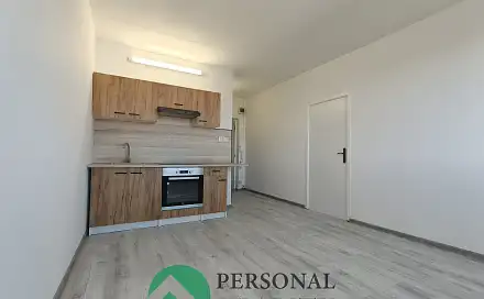 Pronájem bytu 1+1 42 m², Dvořákova, Cheb