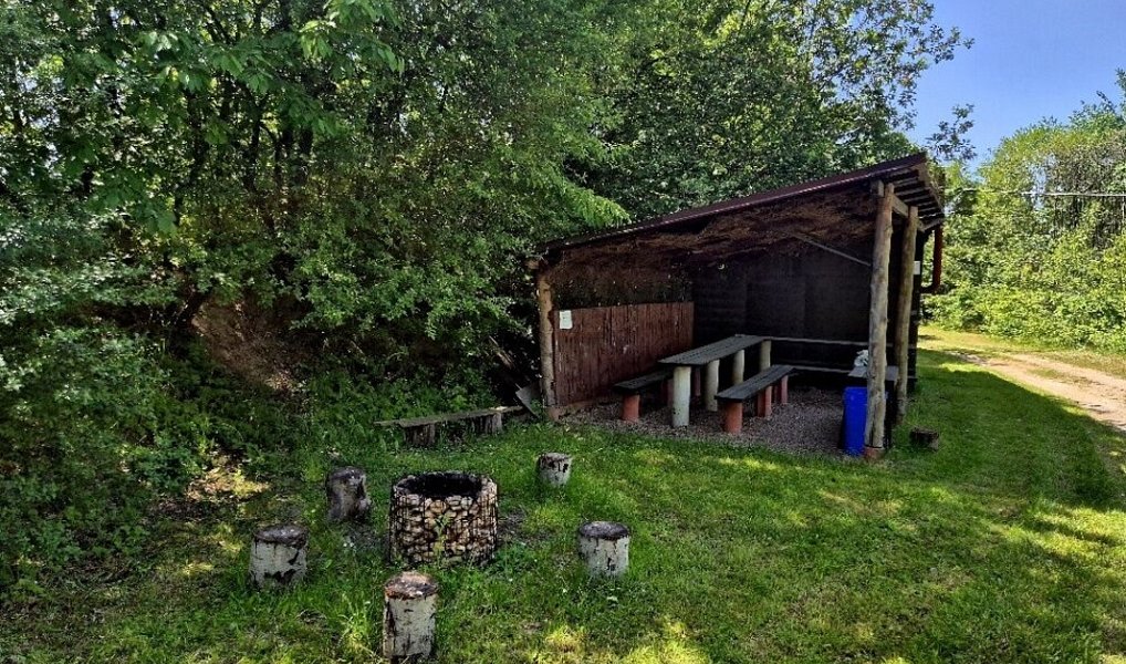 Prodej vodní plochy 8 425 m², Obruby – náhled fotky 8