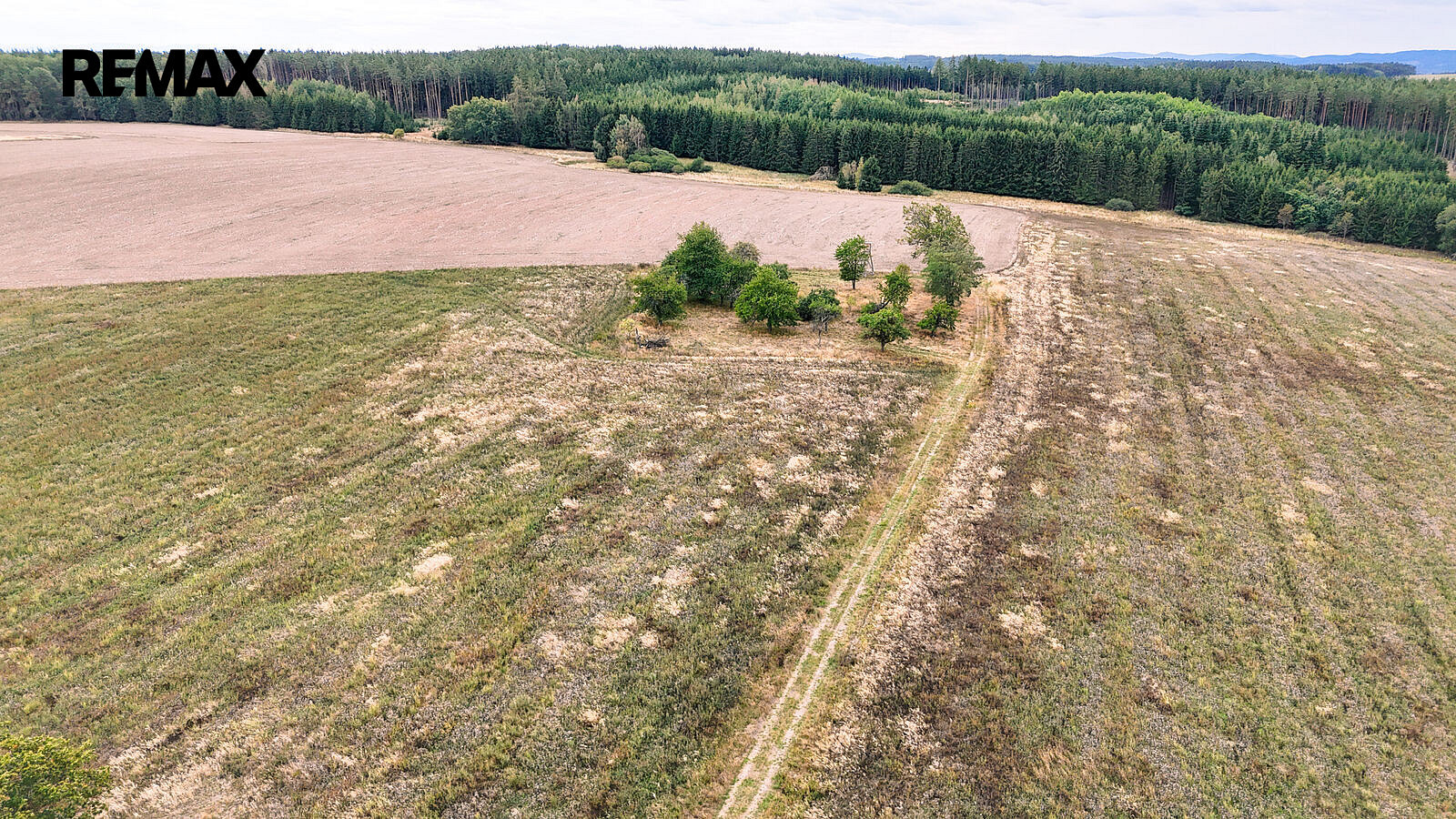 Prodej stavebního pozemku 3 633 m² – fotografie 4