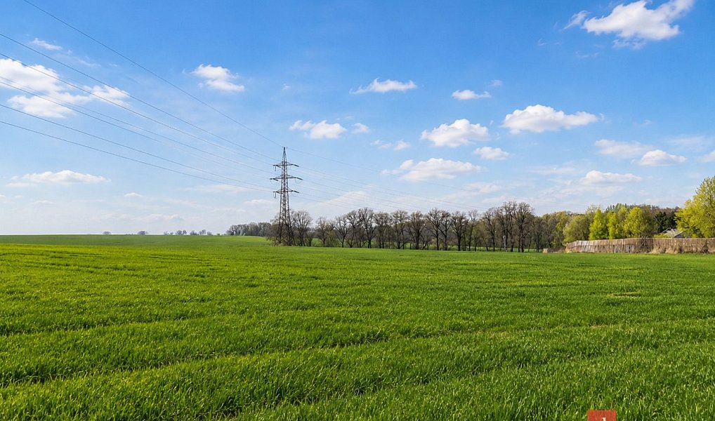 Prodej pole 54 936 m², Říčany – náhled fotky 5