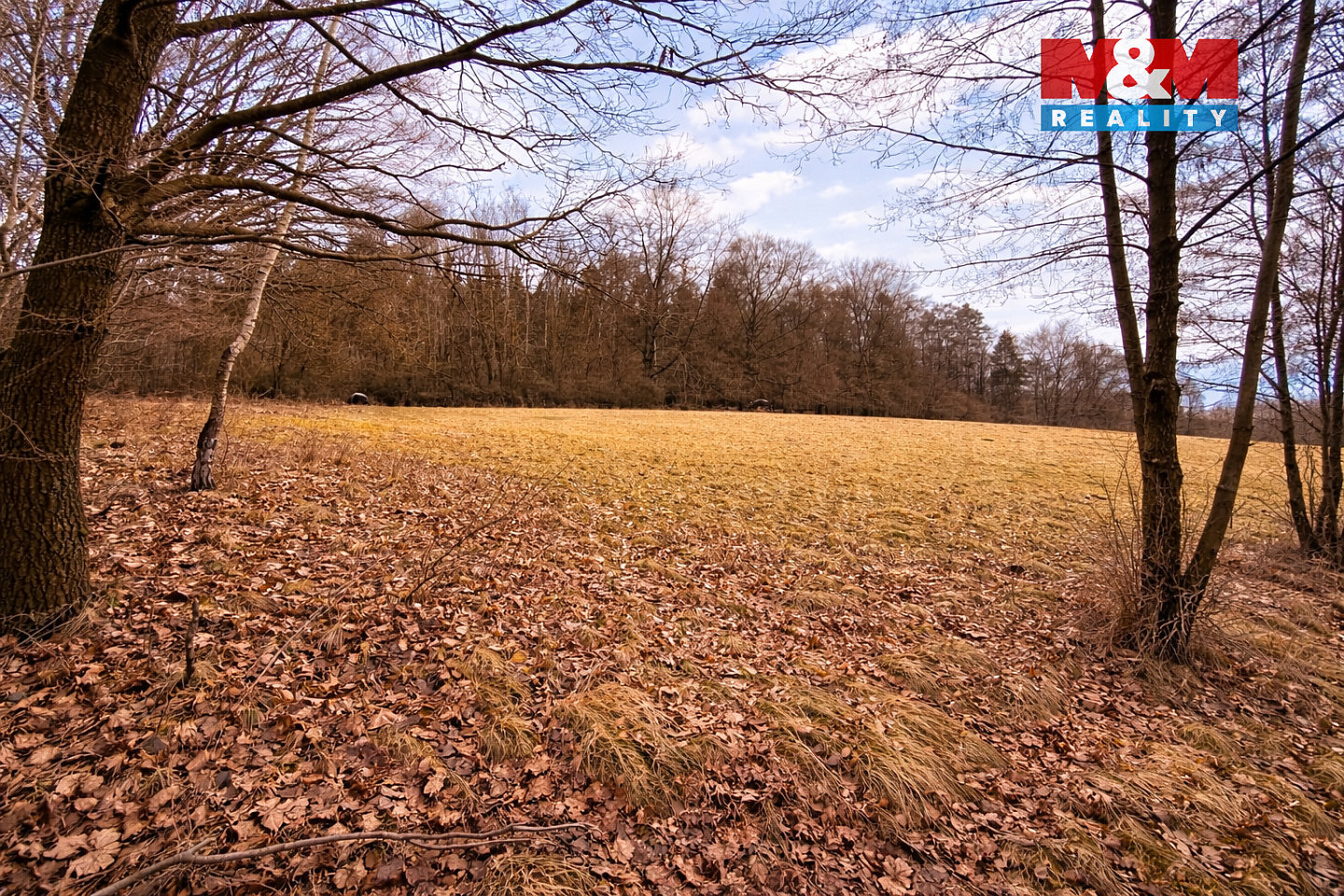 Prodej stavebního pozemku 68 525 m² — photo 3