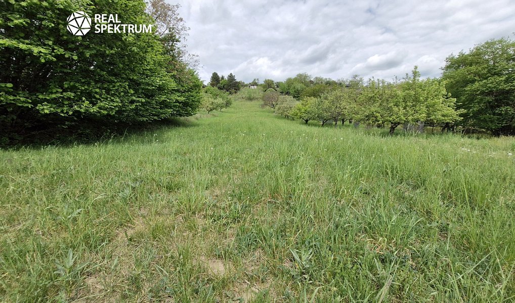 Prodej zahrady 3 069 m², Sivice – náhled fotky 12