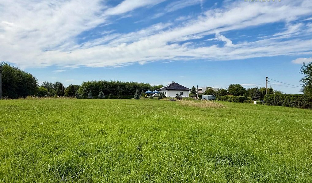 Prodej stavebního pozemku 4 086 m², Albrechtice – náhled fotky 8