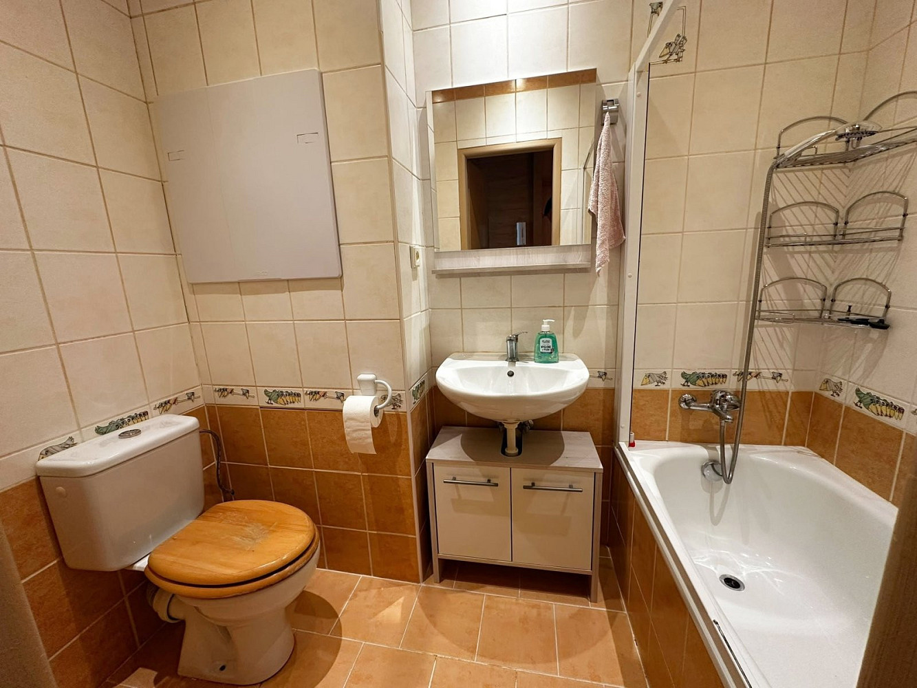 Fotka 8 z 11