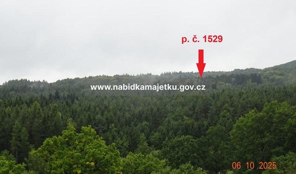 Prodej lesa 144 m², Čížkov – náhled fotky 2