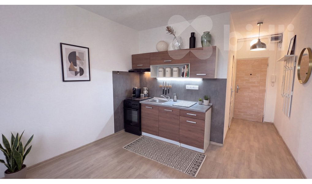 Prodej bytu 1+1 40 m², Litoměřice – náhled fotky 2