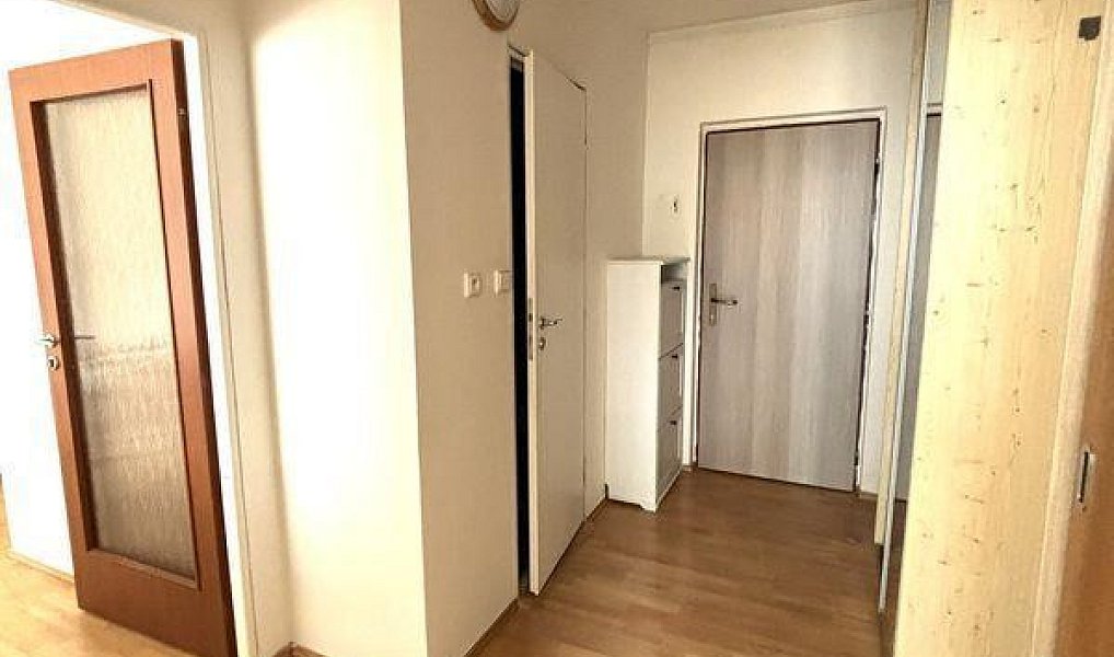 Pronájem bytu 2+kk 41 m², Jílové u Prahy – náhled fotky 8