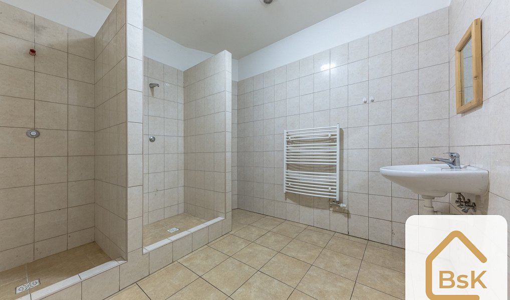 Pronájem obchodních prostor 228 m², Benešov – náhled fotky 16