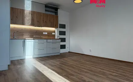 Pronájem bytu 1+kk 43 m², Augustina Lukeše, Brandýs nad Labem-Stará Boleslav - Brandýs nad Labem, okres Praha-východ