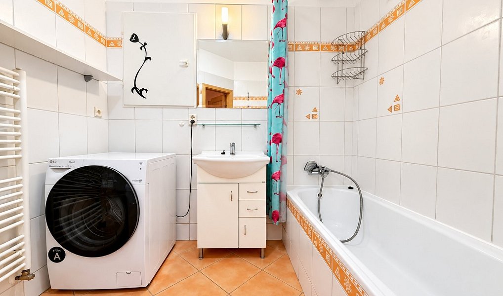 Pronájem bytu 2+kk 56 m², Brno – náhled fotky 4
