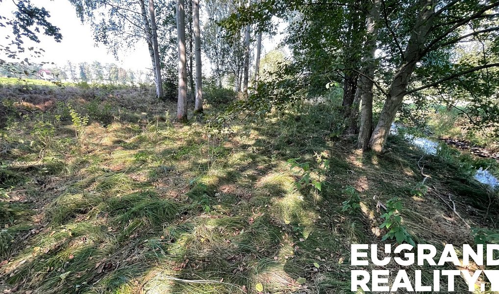 Prodej louky 14 798 m², Šluknov – náhled fotky 5