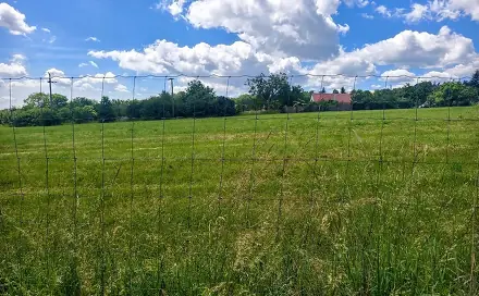 Ostatní