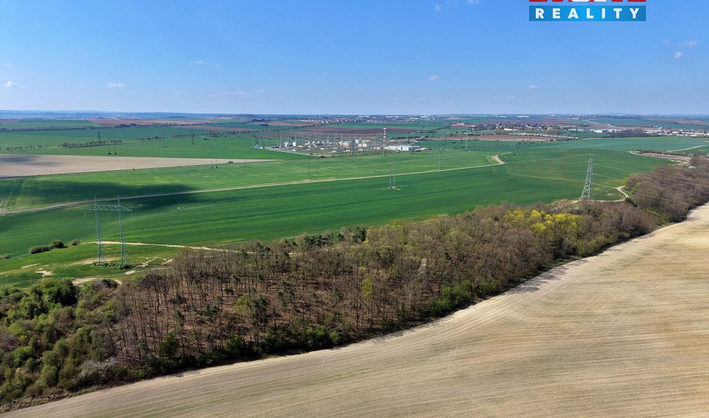 Prodej lesa 4 629 m², Mochov – náhled fotky 4