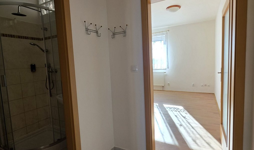 Pronájem bytu 2+kk 42 m², Plzeň – náhled fotky 7