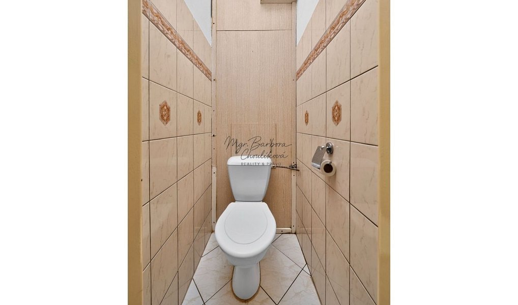 Prodej bytu 2+1 57 m², Blovice – náhled fotky 13