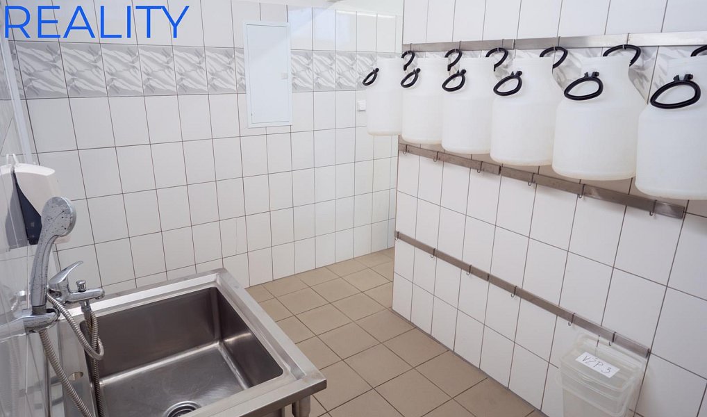 Prodej výrobních prostor 220 m², Suchdol nad Odrou – náhled fotky 3