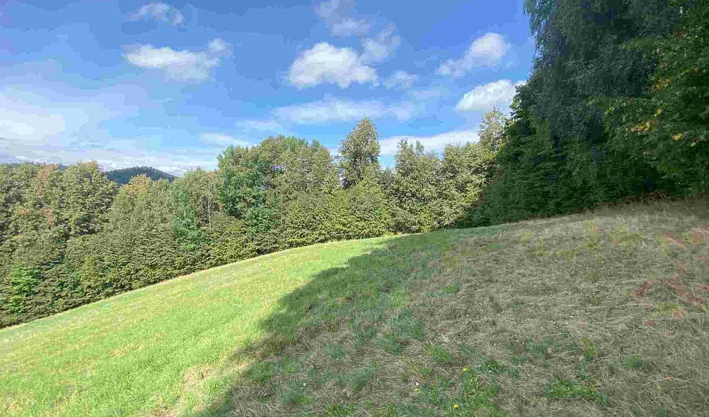 Prodej pozemku 10 593 m², Sobotín – náhled fotky 4