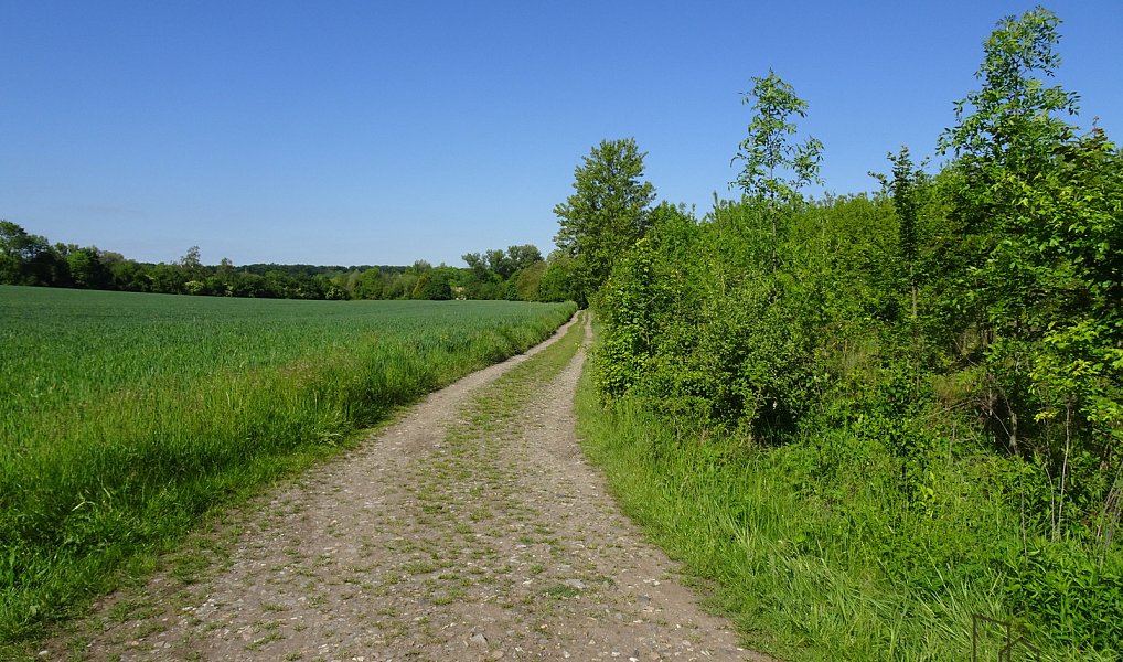 Pronájem pozemku 1 000 m², Valy – náhled fotky 12