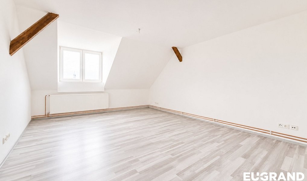 Prodej ubytovacího objektu 330 m², Šluknov – náhled fotky 18