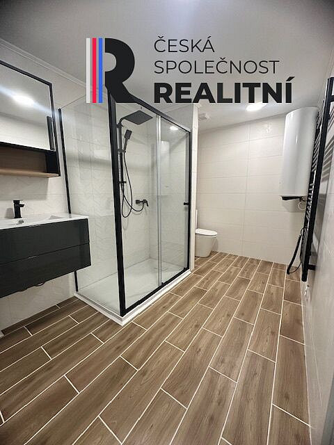 Pronájem bytu 1+kk 53 m² – fotografie 4