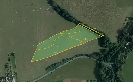 Prodej louky 28 117 m², Seč, okres Chrudim